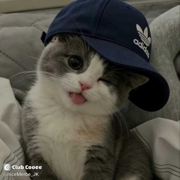 niceMerbe_JK