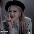 Buse_13