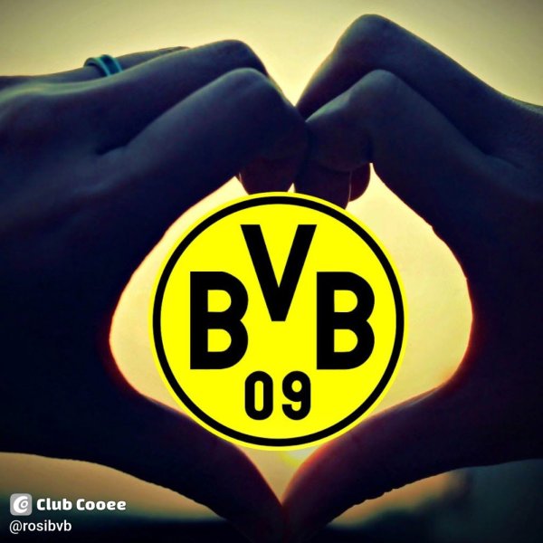 rosibvb